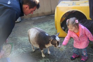 San Diego Zoo with Kids